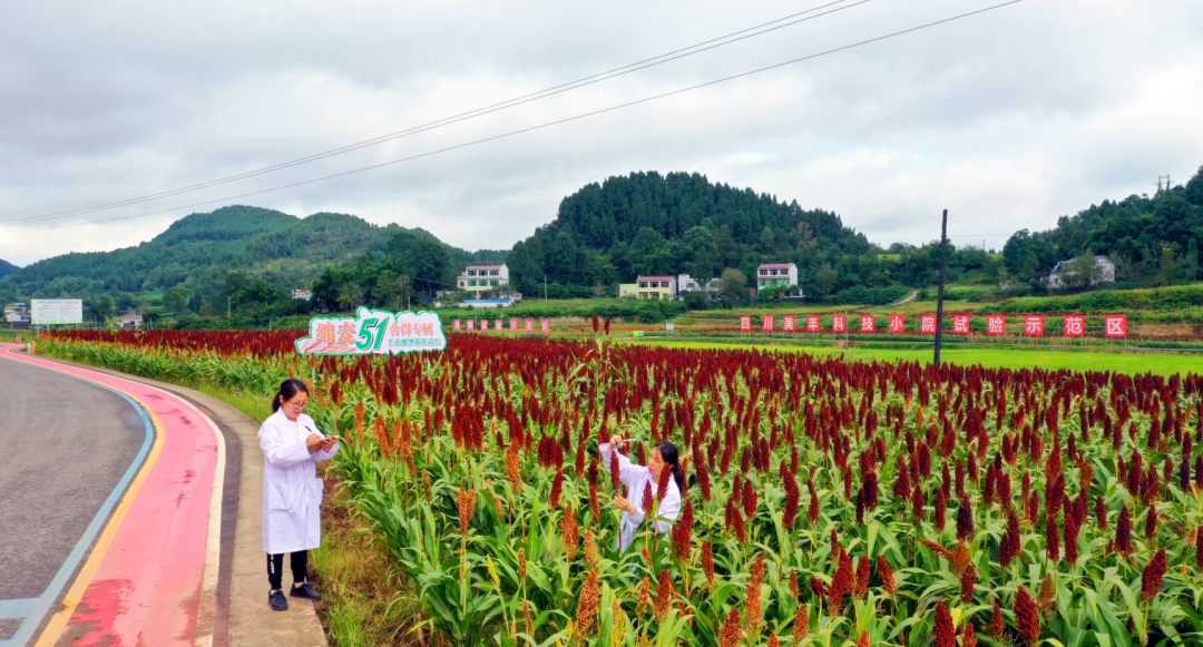 榮獲520社會(huì )責任日ESG營(yíng)銷(xiāo)最佳案例