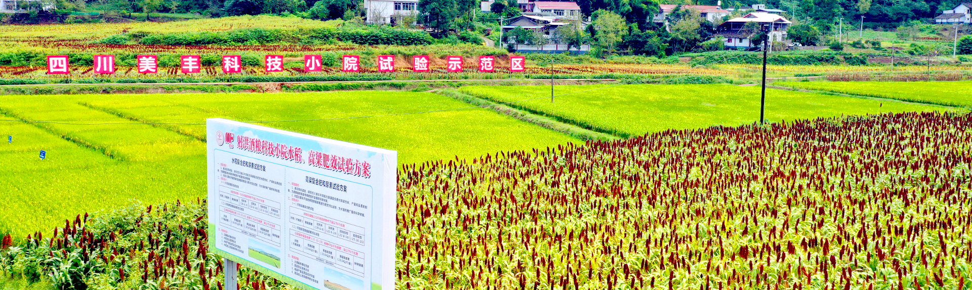 現代農業(yè)產(chǎn)業(yè)