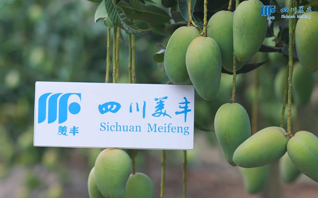 南方農村報：?美豐系列新品熱銷(xiāo)海南，讓品質(zhì)提升更輕松