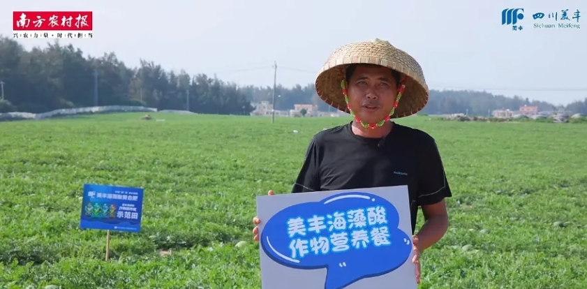 南方農村報：美豐發(fā)力，海南島瓜果翻倍甜蜜