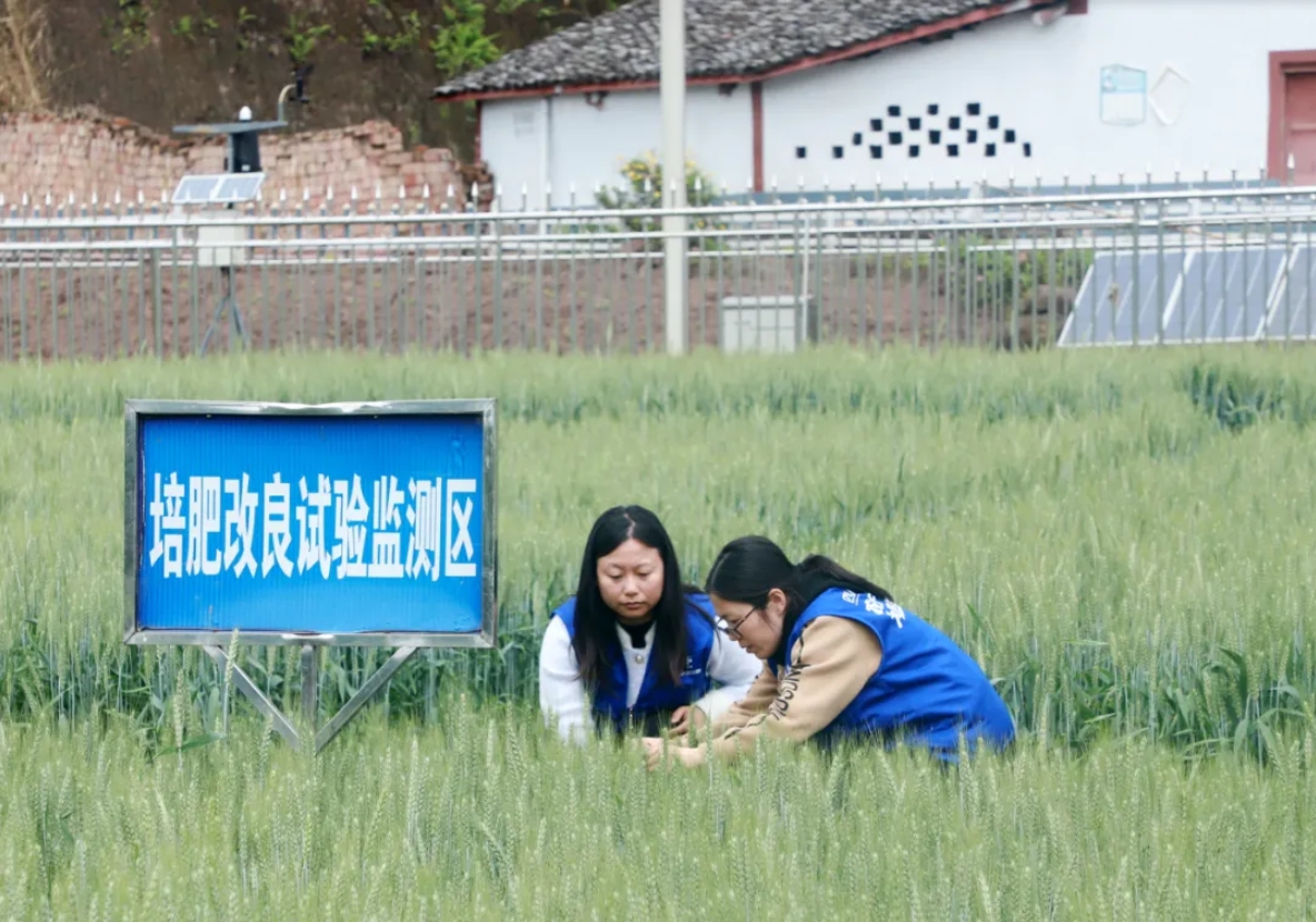 南方農村報：四川美豐累計投入近1500萬(wàn)元建成5所科技小院